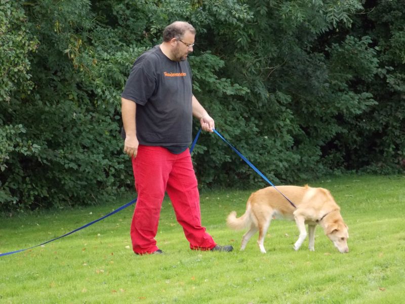 F&auml;hrten-Training